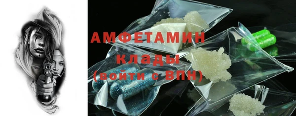 МДПВ Бородино