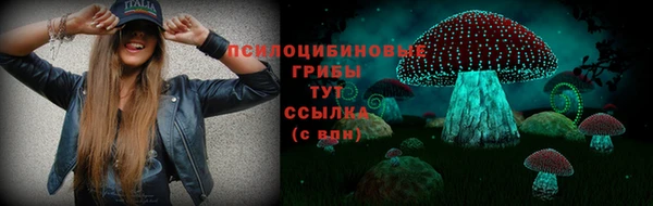 эйфоретик Бугульма