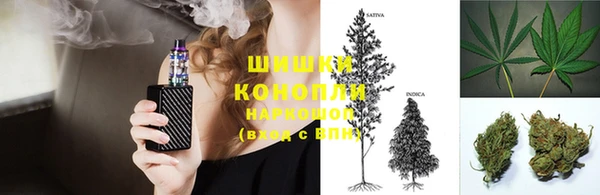 кокс Богородицк