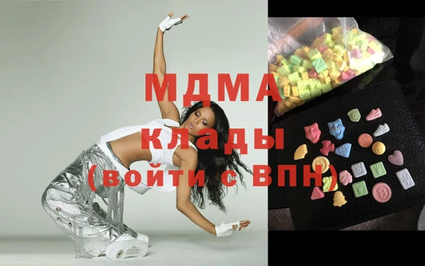 МДПВ Бородино