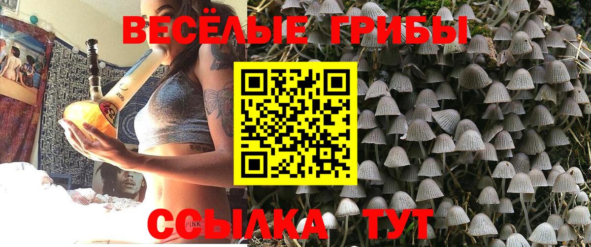 Галлюциногенные грибы Cubensis  Вход с VPN  Горно-Алтайск  Галлюциногенные грибы мухоморы 